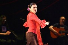 2009年岡本倫子スペイン舞踊団新人公演