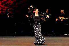 2013年岡本倫子スペイン舞踊団新人公演