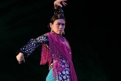 2017年岡本倫子スペイン舞踊団新人公演